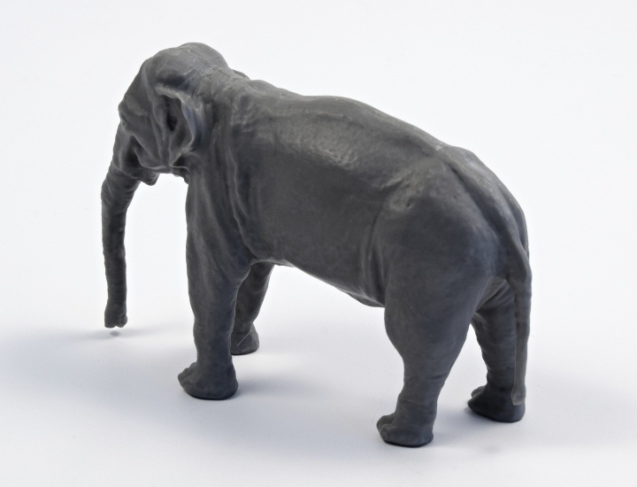 CMK 48341 - Asian Elephant 