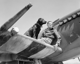 Spitfire Mk.IX, James Edgar Johnson
