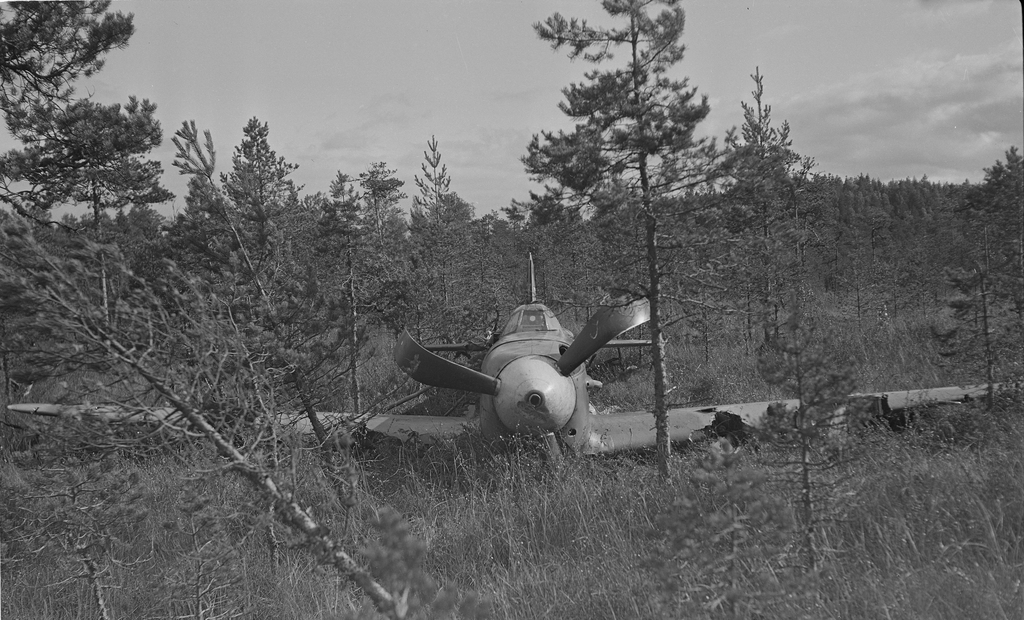 Як-9, совершивший вынужденную посадку-5