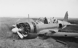 СУ-2, сбитый и совершивший вынужденную посадку
